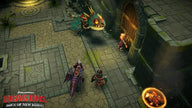 Dragons Dawn of New Riders - Nintendo Switch