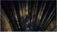 Dark Souls Trilogy - PlayStation 4 | PS4