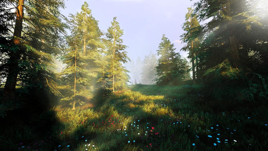 Hunting Simulator 2 - PlayStation 4 | PS4