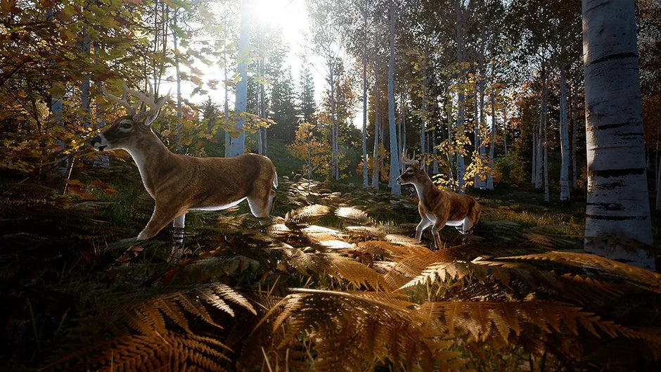 Hunting Simulator 2 - PlayStation 4 | PS4