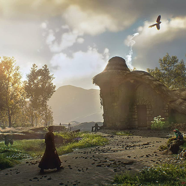 Hogwarts Legacy - PlayStation 4 | PS4