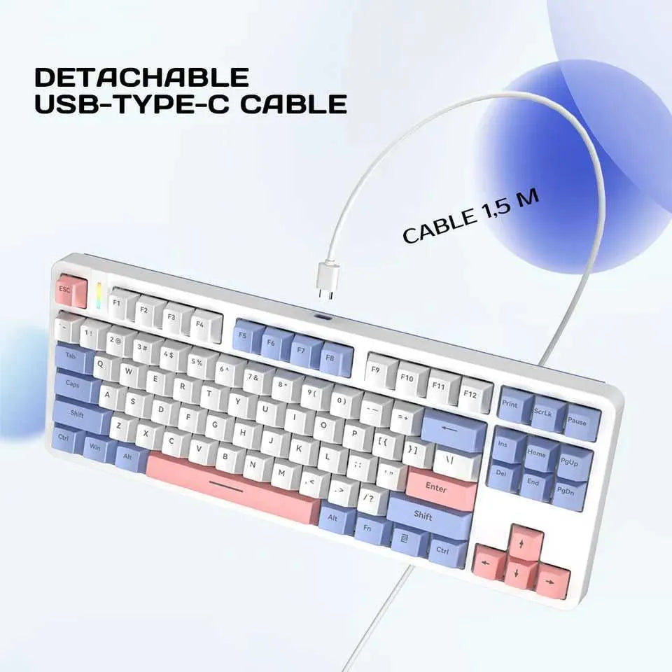 RYCUBE G87 87-Key Hot-Swap Mechanical Gaming Keyboard - Wired Gaming with Rainbow RGB Lighting - PBT Keycaps - Lite Gasket Design - Silver Switch