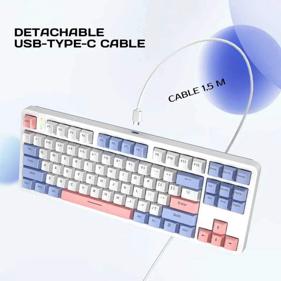 RYCUBE G87 87-Key Hot-Swap Mechanical Gaming Keyboard - Wired Gaming with Rainbow RGB Lighting - PBT Keycaps - Lite Gasket Design - Silver Switch