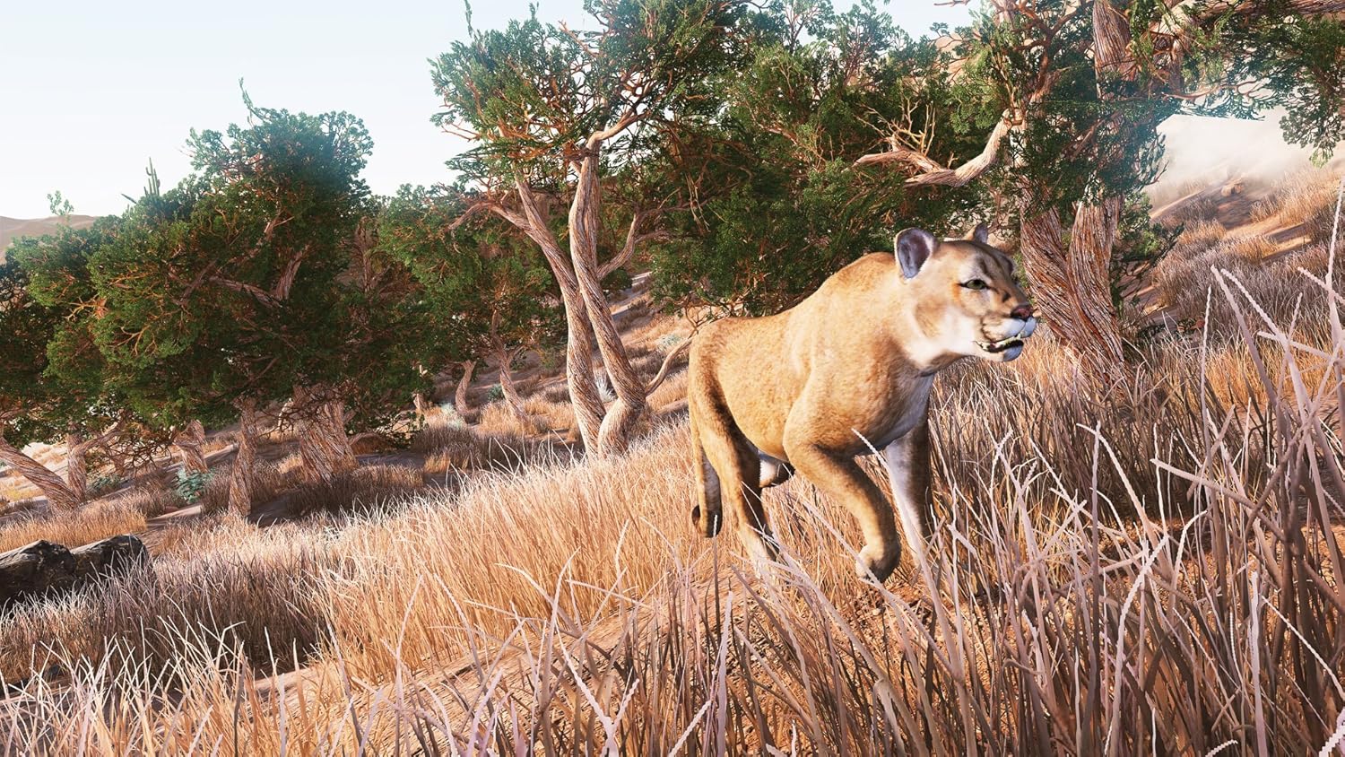 Hunting Simulator - Nintendo Switch