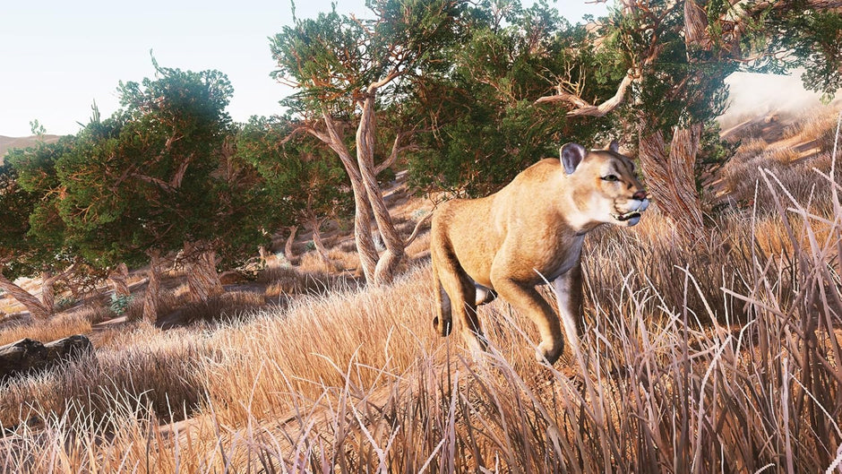 Hunting Simulator - Nintendo Switch