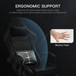 Razer Inspired Pro Gaming Chair