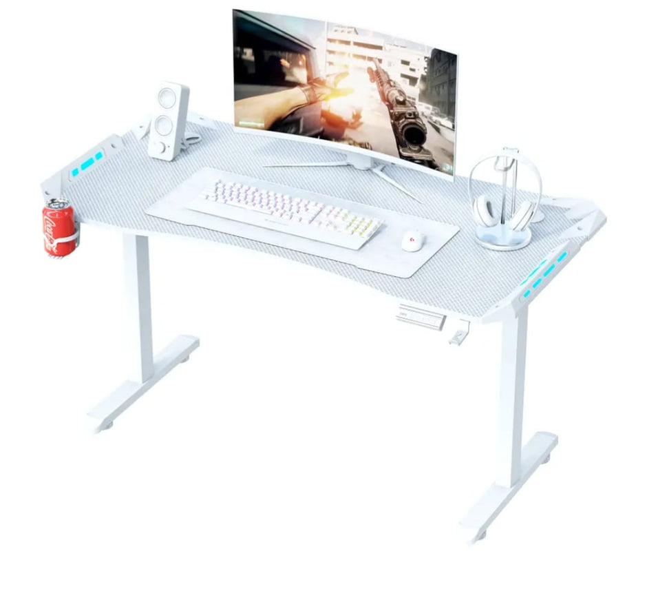 AY Ergonomic Electric Height Adjustable RGB Gaming Sit-Stand Desk