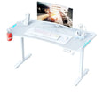 AY Ergonomic Electric Height Adjustable RGB Gaming Sit-Stand Desk
