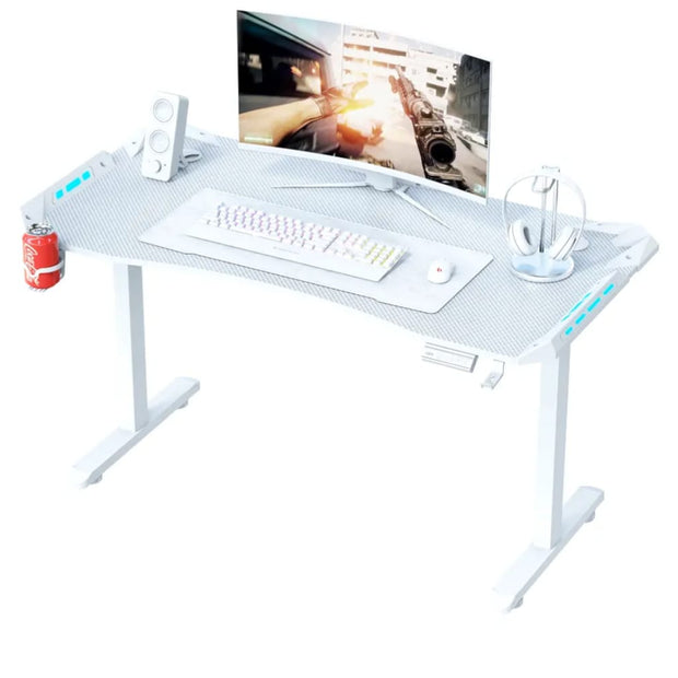 AY Ergonomic Electric Height Adjustable RGB Gaming Sit-Stand Desk
