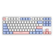 RYCUBE G87 87-Key Hot-Swap Mechanical Gaming Keyboard - Wired Gaming with Rainbow RGB Lighting - PBT Keycaps - Lite Gasket Design - Silver Switch